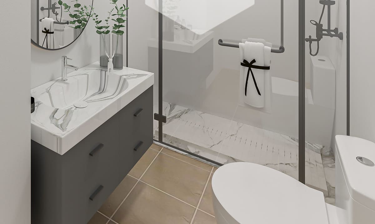 Toilet and shower