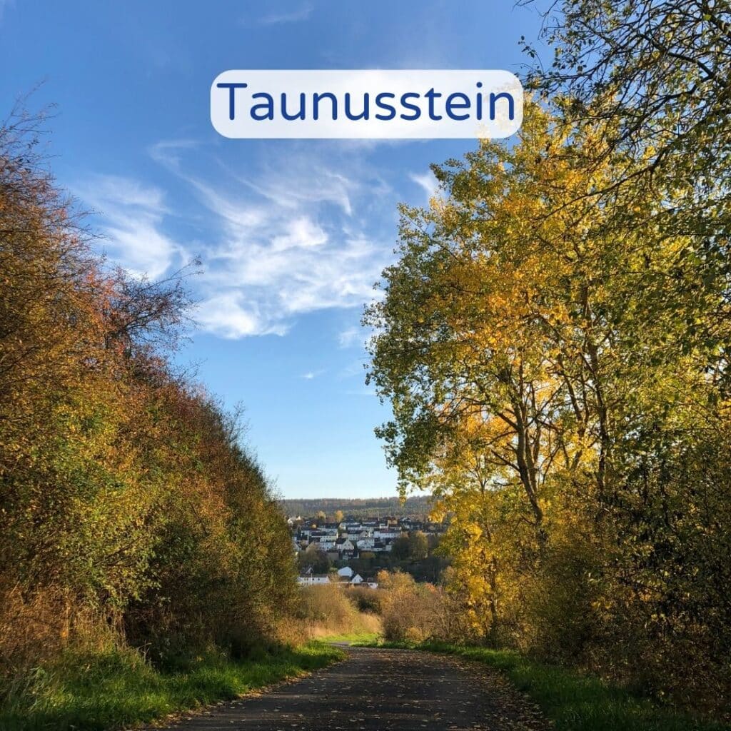 Herbstlicher Waldweg in Taunusstein mit goldenem Laub auf Bäumen und Boden.